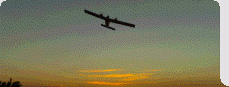 Schattenflieger